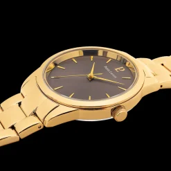Montre Femme ROXANE Cadran Gris Bracelet Acier  Doré